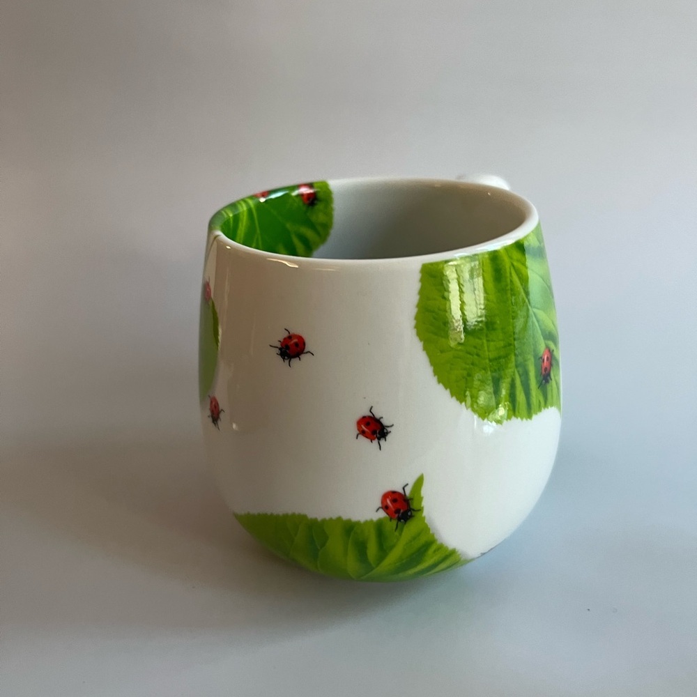 Könitz Fine Porcelain Ladybug & Green Leaves Mug